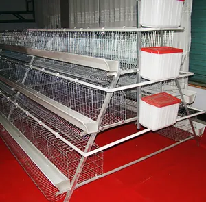 2019 new design best sale chicken egg layer cages in south africa
