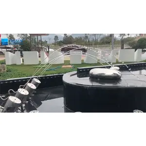 Dijital kontrol sistemi açık havuzu Laminar dans su çeşmesi atlama jetleri yüksek kaliteli yay atlama Jet