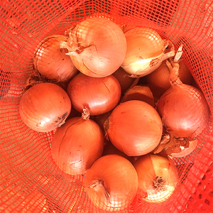 Hành Tây Nhỏ Màu Vàng Đỏ Cỡ Nhỏ Giảm Giá Mạnh Của Trung Quốc - Product Image 3