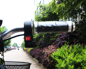 Kendaraan Zappy Elektrik Mobilitas, Kendaraan Zappy Elektrik 3 Bagian Skuter 48V 500W untuk Skuter <span class=keywords><strong>Gas</strong></span> Cacat untuk Dewasa - Product Image 2