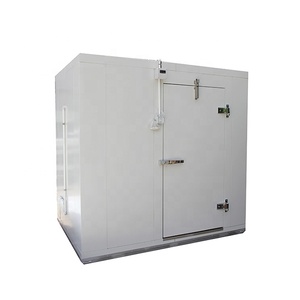 légumes poissons <span class=keywords><strong>chambre</strong></span> <span class=keywords><strong>de</strong></span> congélation brésil congelés viande profonde congélateur blast congélateur pour vente - Product Image 1