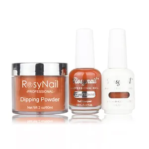 Beauty salon cheap price Asian nail supply set of soak off gel polish nail polish dipping powder 3in1 matching kit