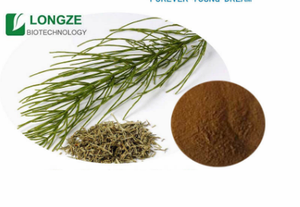 Thực phẩm lớp 1kg lĩnh vực đuôi ngựa chiết xuất thảo mộc bột polyphenol-phong phú chiết xuất trà equisetum arvense L sức khỏe moq đóng gói túi trống - Product Image 2