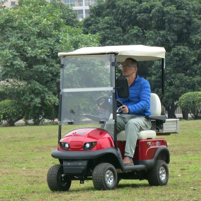 Mini Electric Golf Cart, used Electric Golf Car, with 36V 1.2kw motor and curtis controller