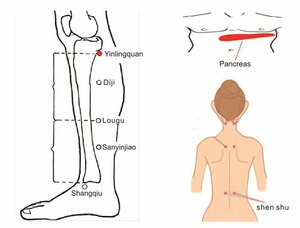 Millimetre Wave outfit activating the body is communication system treats a variety of diseases - Product Image 5