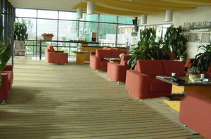 Promotion prix <span class=keywords><strong>planche</strong></span> de terrasse composite creuse pour balcon étanche wpc platelage de terrasse - Product Image 3