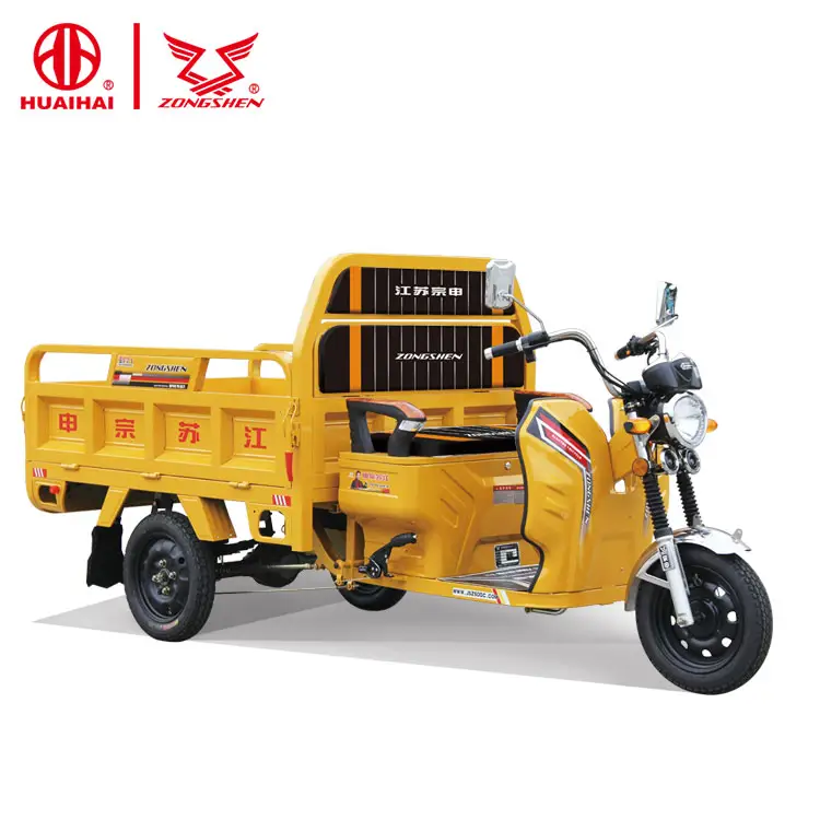 Electro-triciclo de 1000W, vehículo de transporte eléctrico de tres ruedas, fabricado en China