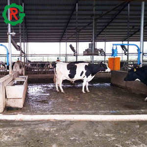 <span class=keywords><strong>Vaca</strong></span> <span class=keywords><strong>feliz</strong></span> eléctrico cepillo de limpieza de <span class=keywords><strong>vaca</strong></span> cuerpo - Product Image 6