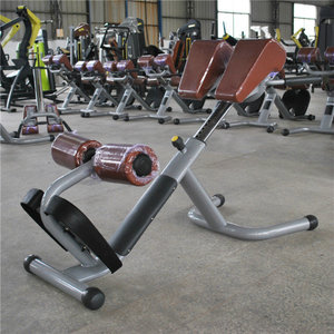 Banc d'entraînement à poids libre <span class=keywords><strong>de</strong></span> fabrication directe, extension dorsale, équipement <span class=keywords><strong>de</strong></span> salle <span class=keywords><strong>de</strong></span> sport commercial, <span class=keywords><strong>chaise</strong></span> <span class=keywords><strong>romaine</strong></span> pour la <span class=keywords><strong>musculation</strong></span>, matériau métallique - Product Image 3