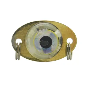 Mini luz de pesca LED de 3 cm, 5 colores, forma de ojo bajo el agua, cebo de pesca de calamar - Product Image 1