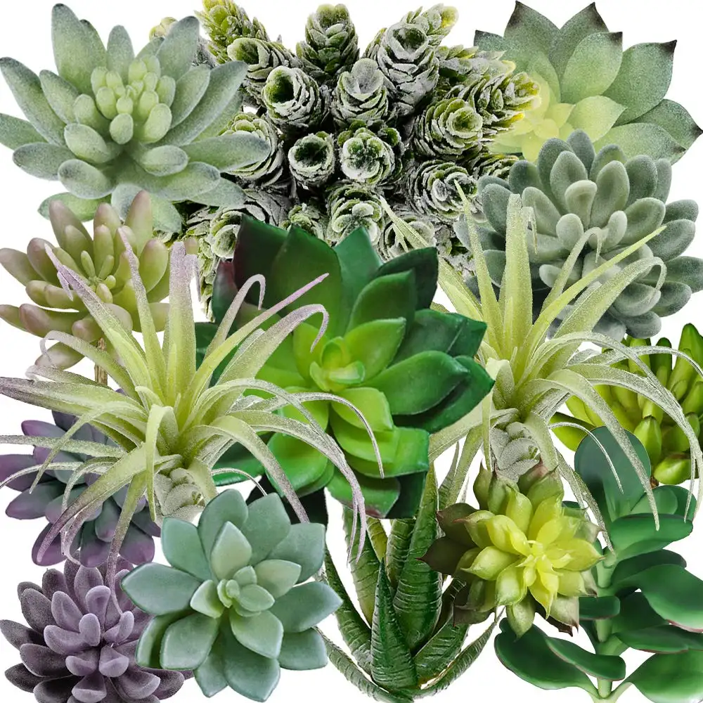 15 عبوة متنوعة نباتات عصارية اصطناعية نباتات عصارية صناعية غير مقعدة صبار صناعي محكم الصبار لترتيب الأزهار W