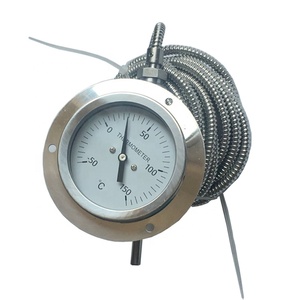 2.5 Inchi Posteriore Capillare Termometro - Product Image 2