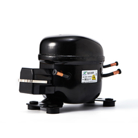 Compresseur de réfrigérateur à moteur pneumatique HuaJun série 1/5 Hp