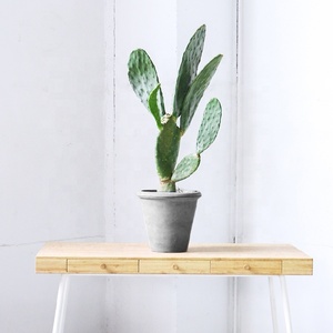 Pas cher coloré <span class=keywords><strong>rond</strong></span> plantes pot de fleur décoratif - Product Image 1