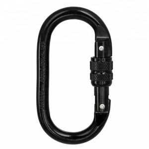 <span class=keywords><strong>Xin</strong></span> 25kN pesado oval tornillo puerta de acero inoxidable mosquetón escalada senderismo - Product Image 4