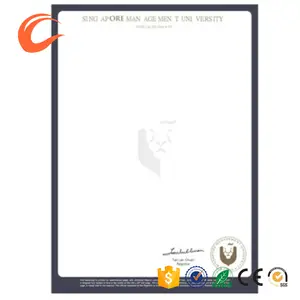 Custom printed school company degree certificate