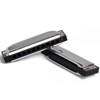 전문 악기 OEM 실버 harmonica 10 홀 블루스 고품질 저렴한 백조 harmonica