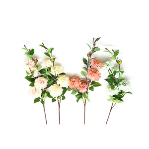 Boda Rosa flor Decoración de casa decoración de la pared Rosa estabilizado eterna de <span class=keywords><strong>las</strong></span> <span class=keywords><strong>Rosas</strong></span> de la flor - Product Image 6