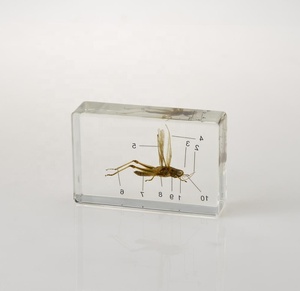 Tài Nguyên Giảng Dạy Mẫu Tinh Thể Động Vật Động Vật Và Thực Vật - Product Image 4