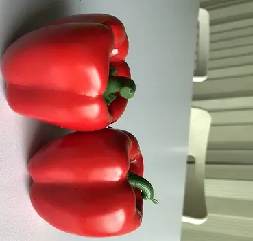 plastic red pepper for decor