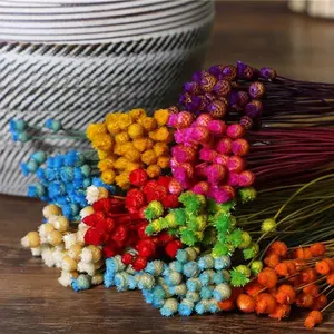 โรงงานจัดหาโดยตรง Mini DIY 30 Pcs Bunch ธรรมชาติแห้งดอกไม้มีความสุข