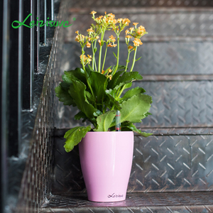 pp de color interior de cilindro de plástico a granel Pequeña hierba plantador planta bote barato redondo flor Macetas - Product Image 1