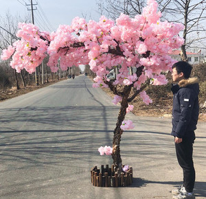 Hot-selling decorazione di cerimonia nuziale simulato albero di <span class=keywords><strong>ciliegio</strong></span> in fiore di seta albero di <span class=keywords><strong>ciliegio</strong></span> in fiore - Product Image 4