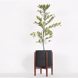 <span class=keywords><strong>De</strong></span> alta calidad <span class=keywords><strong>de</strong></span> flores <span class=keywords><strong>de</strong></span> bambú florero soporte <span class=keywords><strong>de</strong></span> suelo y soporte <span class=keywords><strong>de</strong></span> planta - Product Image 1