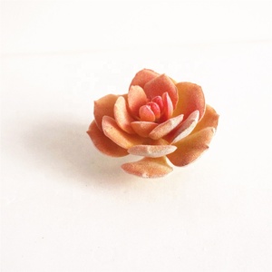 FAI DA TE Giallo colorful Floccaggio artificiale teste di fiore Artificiale <span class=keywords><strong>succulente</strong></span>