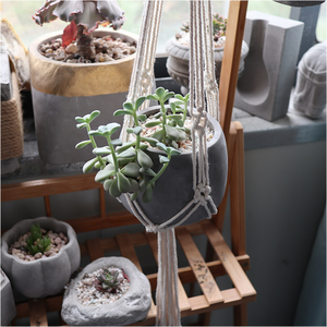 Pots à fleurs suspendus en béton cylindriques en gros <span class=keywords><strong>avec</strong></span> <span class=keywords><strong>corde</strong></span> en coton, durables, écologiques, pour plantes d'intérieur et d'extérieur - Product Image 3