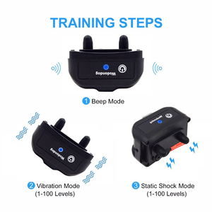 <span class=keywords><strong>Collar</strong></span> de entrenamiento para perros, modelo privado P11, 2022-300 m, descarga remota, novedad de 500 - Product Image 4
