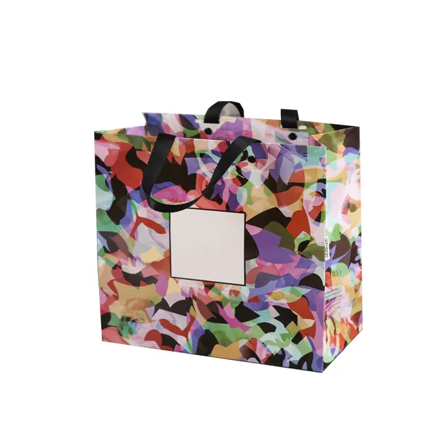 Lieferanten design Kunden spezifische ausgefallene Verpackung Eco Luxury Paper Shopping Bags mit Druck Markenname Logo