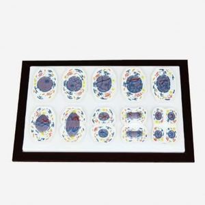 Gelsonlab HSBM-405 בעלי החיים מיטוזה ו מיוזה דגם - Product Image 6