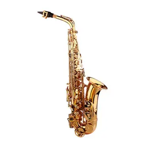 Saxofone de topo alto, saxofone para tenor liso e tenor, chaves de concha branca dourada com estojo