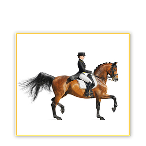Opera d'arte stampata classica articoli per la casa wall art canvas man on horse painting - Product Image 3