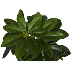 Décoration intérieure et extérieure de 12 pièces, petites plantes, vente <span class=keywords><strong>en</strong></span> gros, tiges de <span class=keywords><strong>feuillage</strong></span>, greffon décoratif, lot de feuilles <span class=keywords><strong>en</strong></span> <span class=keywords><strong>plastique</strong></span> - Product Image 2