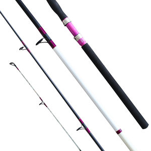 10' 2pcs fonte poids 6-10kg canne à pêche de surf <span class=keywords><strong>casting</strong></span> - Product Image 1