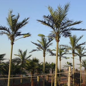 Sinh Thái Ngoài Trời Trang Trí Nhựa Nhân Tạo Washington Cây Cọ - Product Image 5