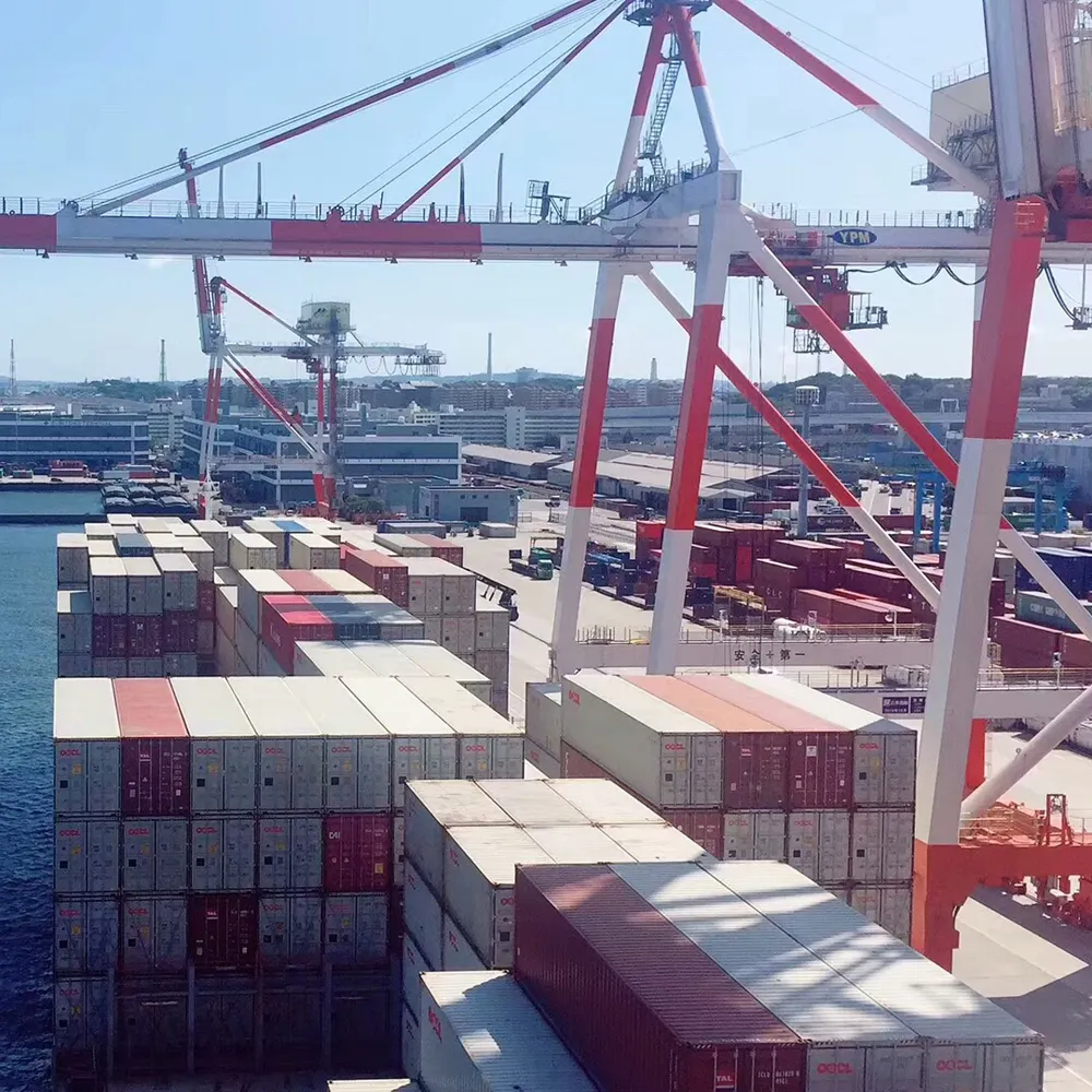 Qingdao fret transitaire/mer agent maritime/logistique dropship société à Budapest, Hongrie et tous le monde