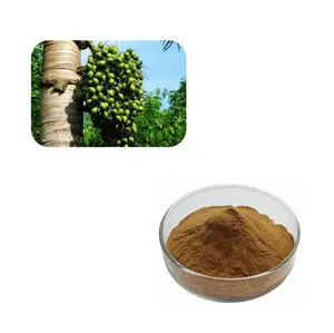 Dielegance Supply Areca Catechu Herbal Extract with Best Price