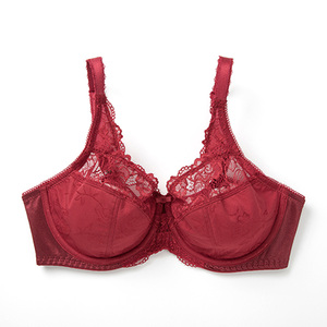 Reggiseno in pizzo da donna traspirante estivo Plus Size Non imbottito figura intera <span class=keywords><strong>con</strong></span> <span class=keywords><strong>ferretto</strong></span> minimizzatore reggiseno in pizzo <span class=keywords><strong>reggiseni</strong></span> per adulti cinghie sottili lavorate a maglia - Product Image 1