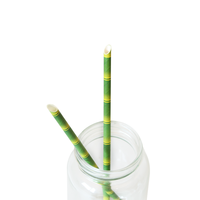 Pailles à boire jetables biodégradables en papier, impression couleur personnalisée, pailles en papier de qualité alimentaire pour événements, fêtes, cadeaux