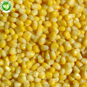 Precio de fábrica delicioso fresco a granel congelado iqf maíz <span class=keywords><strong>dulce</strong></span> - Product Image 2