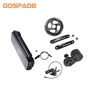 Bürstenlosen Elektrische Fahrrad Motor 36 v 250 watt E Fahrrad Mitte Kurbel Stick Kit Ebike Elektrische Fahrrad Motor kit