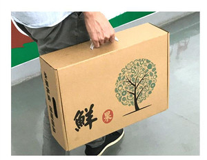Boîte d'emballage en carton avec poignée, pour fruits et légumes, 50 pièces - Product Image 3