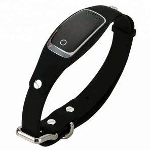 Silicon Pets Collar <span class=keywords><strong>para</strong></span> mascotas Rastreador GPS Localizador de tiempo real GPS + LBS + WIFI Localizador de ubicación <span class=keywords><strong>para</strong></span> perro - Product Image 2