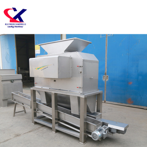 Extracteur de jus Juice Factory 2000, ligne de production de jus d'ananas frais, extracteur de fruits, machine à jus de banane - Product Image 4