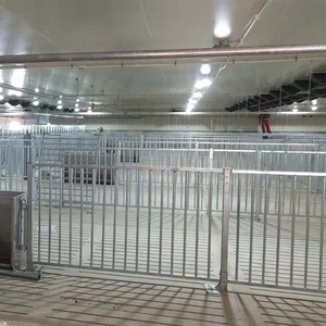 Bâtiment d'élevage de porcs en acier à faible coût / Porcherie / Étable à porcs - Product Image 2