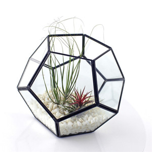 Manufacturer Football Shape Geometric Terrarium or Candle Holder Wedding Center Large Size clear Glass <strong>Flower</strong> <strong>Vases</strong> - Product Image 2