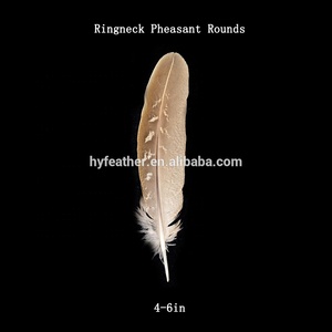 <span class=keywords><strong>Venta</strong></span> al por mayor 4-26 ''Natural barato <span class=keywords><strong>de</strong></span> Ringneck faisán plumas <span class=keywords><strong>de</strong></span> la cola Festival <span class=keywords><strong>de</strong></span> la decoración <span class=keywords><strong>de</strong></span> calidad superior - Product Image 6